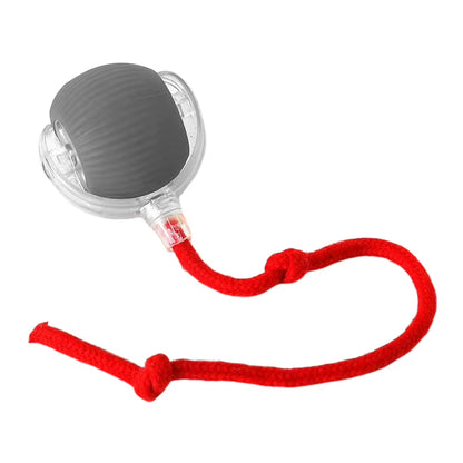 Automatic Interactive Plush Rolling Ball Toy for Dogs and Cats